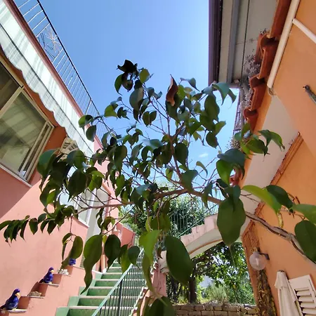 Casa Pesce *