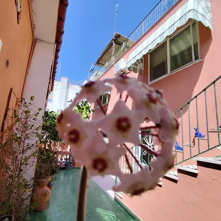 Casa Pesce Guest house Barano d'Ischia